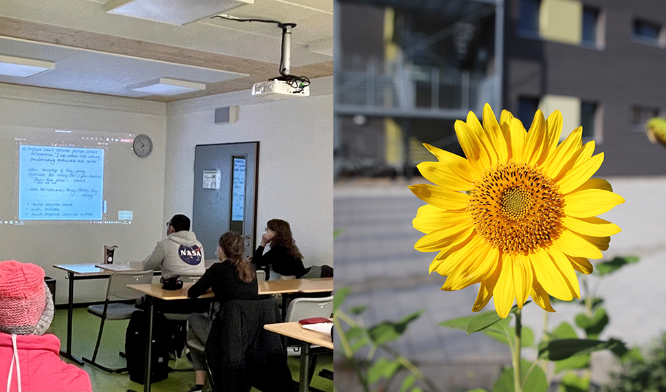 slider_abendgymnasium (c) eob slider_abendgymnasium