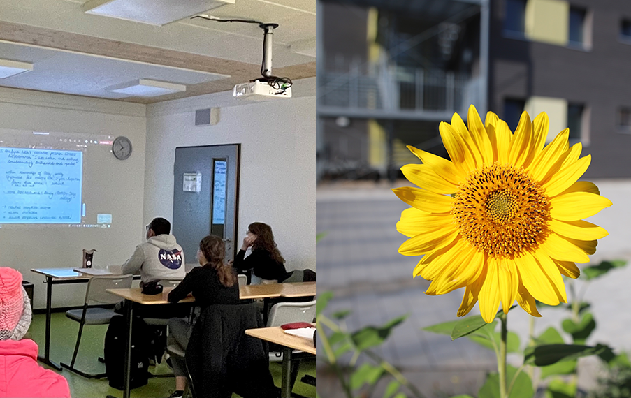 slider_abendgymnasium (c) eob slider_abendgymnasium